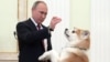 Путин в терминах дзюдо описал переговоры с Японией по территориальному вопросу